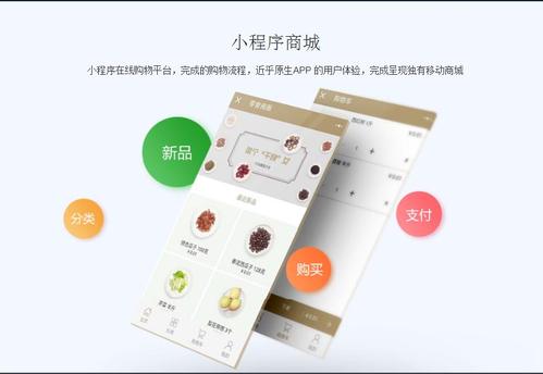 微信商城小程序上线后，如何运用技术手段高效推广产品